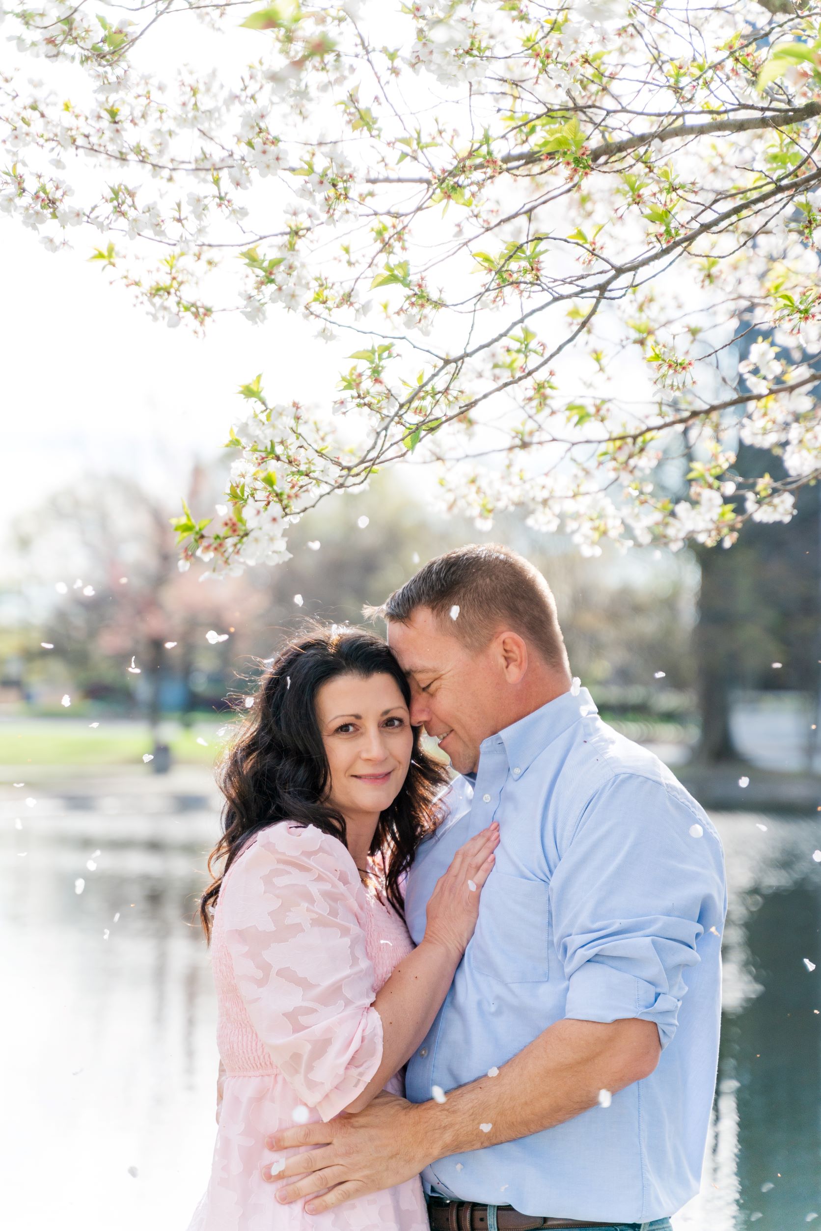 Jessica and Bryan snuggle under a beautiful cherry blossom tree as petals fall all around them.