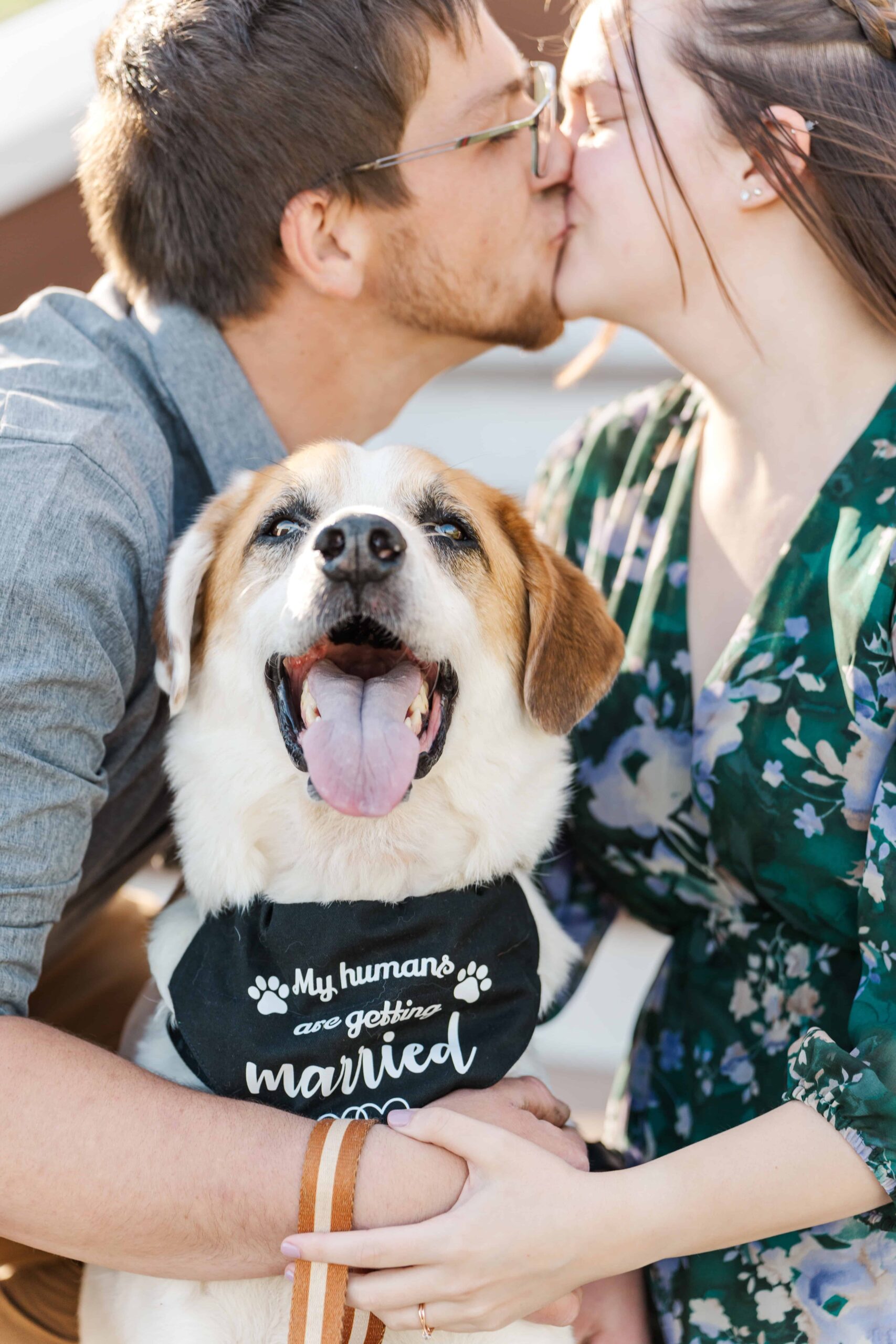 Beau the dog "smiles" happily snuggled up in his owner's arms. His bandana reads "My humans are getting married"