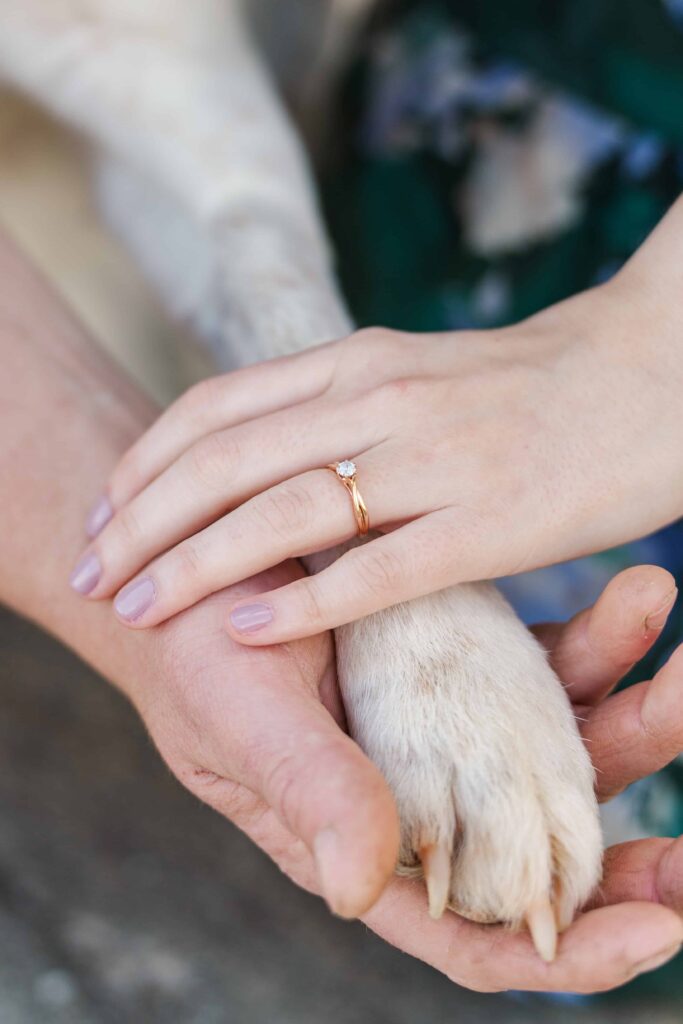 A close up of Jessica and Levi's hands and their dog Beau's paw. 