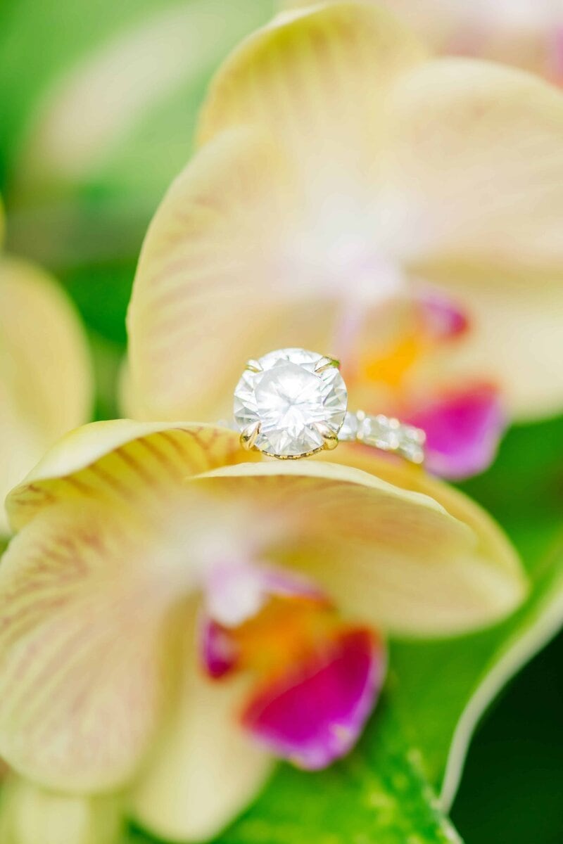 Engagement photos at Daniel Stowe Orchid Conservatory