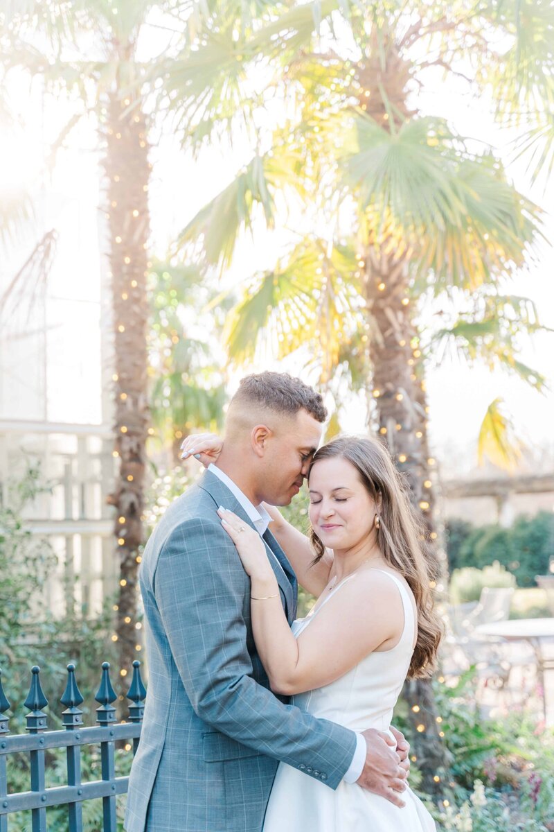 Palm trees during a Charlotte winter engagement session