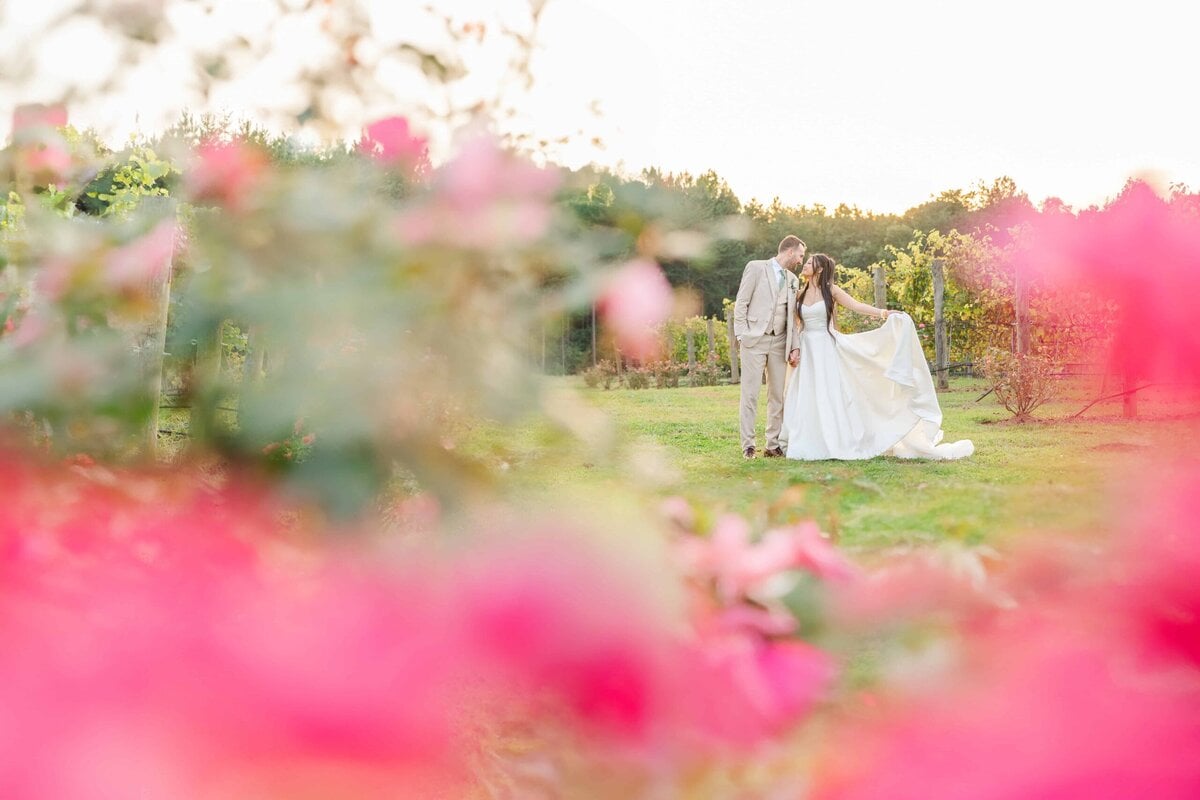 Natural light romantic couples portraits in the roses at Dugaren Venues & Vineyard